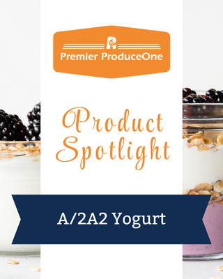 Product Spotlight